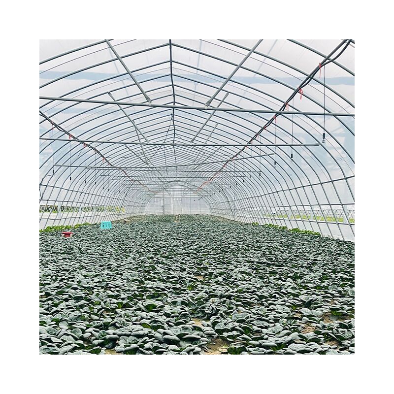 green house